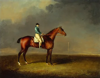 Jego Królewska Wysokość, Książę Walii, gniady koń wyścigowy Sir David po Trumpator z Chifney up, w Newmarket Heath