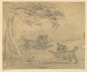 Badanie dwóch spanieli w parku