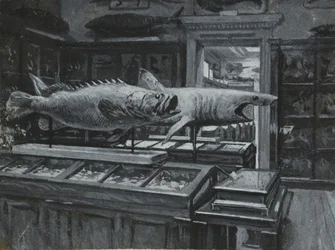 Widok wnętrza Muzeum Brytyjskiego z galerią eksponatów rybnych, ok. 1880 r. (wash & bodypainting na papierze)