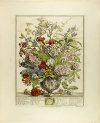 Lipiec, od Twelve Months of Flowers