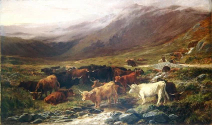 Krowy w górach