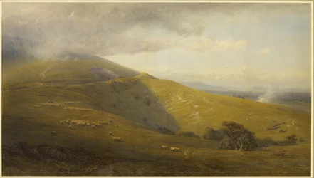 Widok na South Downs