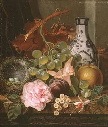 Martwa natura