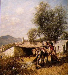 Osioł