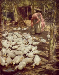 Mały Gospodarstwo, 1896