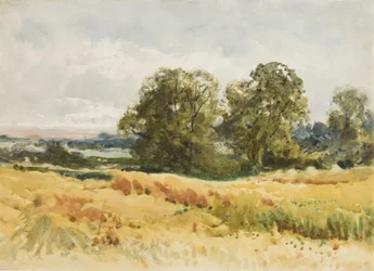 Pole zbiorów, ok. 1910 (akwarela na papierze)