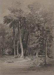 Zalesiony tor