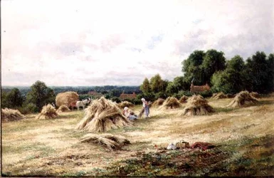 Żniwiarze
