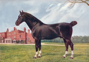 Ogier Hackney Danegelt, c1905 c1910