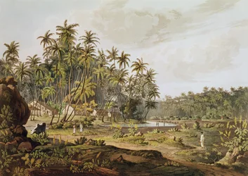 Widok w pobliżu Point du Galle, Cejlon, rytowany przez Daniela Havella (1785-1826) opublikowany w 1809 roku