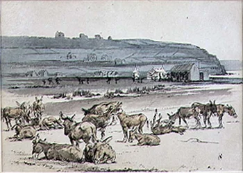 Osły na polu golfowym, ilustracja z magazynu „Graphic”, wyd. c.1870 (lito)