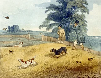 Flushing Birds, tablica z „Patridge Shooting”, rytowana przez Josepha Claytona Bentleya (1809-51) 1835 (kolor grawerowany)