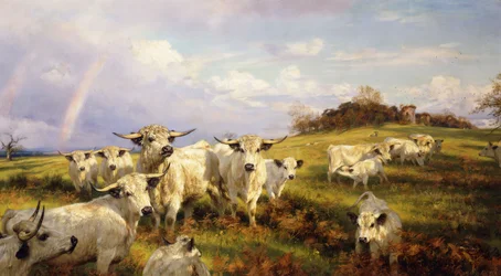 Dzikie bydło Chartley, Chartley Castle Beyond, 1902