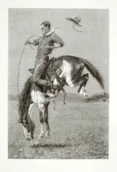 Bucking Bronco