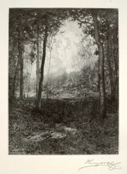 W Adirondacks
