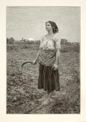 Pieśń skowronka