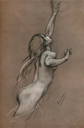 Studium latających ryb, ok. 1910