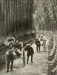 Aleja Bambusowa w Kioto, 1910.