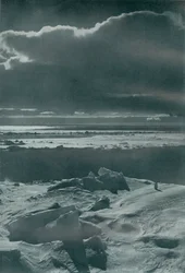 Scena wieczorna w stadzie, c19101913, 1913