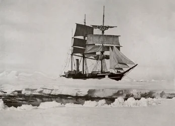 In The Pack - otwarcie na prowadzenie, c19101913, 1913
