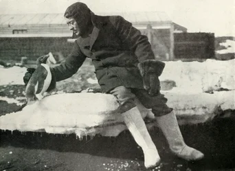 porucznik. Rennick i przyjazny pingwin, 1911, 1913