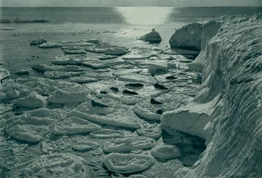 Foki wygrzewające się na nowo utworzonym lodzie naleśnikowym z Cape Evans, c19101913, 1913