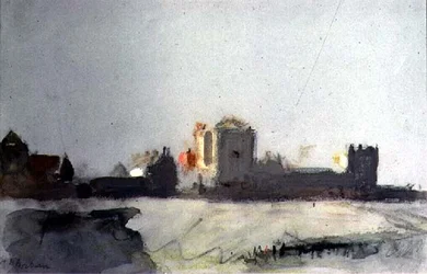 żyto