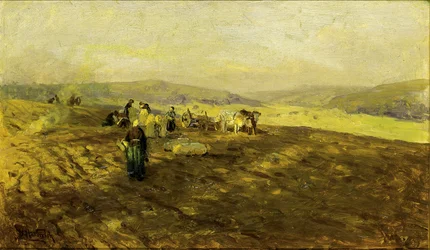 Zbieracze ziemniaków