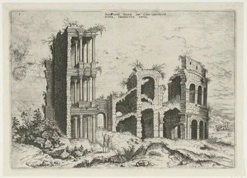 Gezicht op het Septizonium en het Colosseum in Rome Septizonii Severi Imp (...) (title on object) Romeinse ruïnes (series title)   1333512   pl       polish Successfully Translated  Original: Larch-leaf or tree triggerplant, Stylidium laricifolium Translat