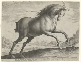 Koń rasy Equus Regius (królewski) Eqvvs Regivs (tytuł na obiekcie) Rasy koni z Królewskich Stajni Don Juana Austrii (tytuł serii) Equile Ioannis Austriaci Caroli (tytuł serii)