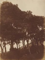[Pole w Bonaly]