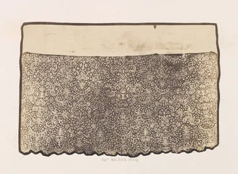 Alba Koronkowa należąca do klasztoru Nawiedzeń, 1857 r.