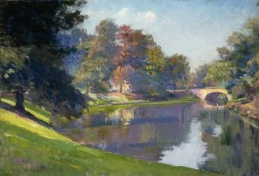 Drewno Brukselskie,