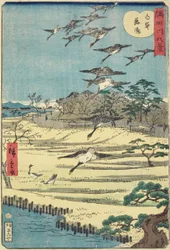Homing Geese w Shirahige, listopad 1861