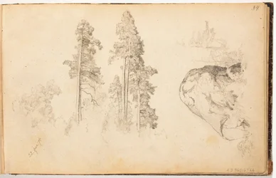 Bez tytułu