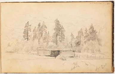 Bez tytułu