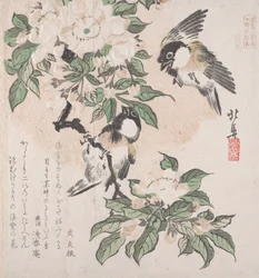 Kolekcja wiosennego deszczu Harusame shu, obj. 3: Sikorki błotne i kwiaty krabowej jabłoni, ca. ...,ok. 1820.
