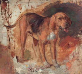 H.Hunt, Badanie ogara