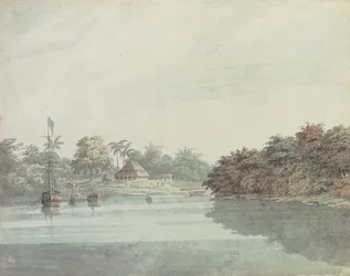 Papużka falista gubernatora generalnego nad Gangesem, Delta Brahmaputry