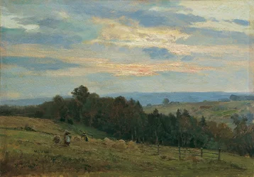 W czasie żniw