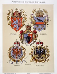 Herby z Cesarstwa Austro-Węgierskiego, z „Heraldischer Atlas” artysty, 1899