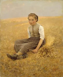 Mała klarownica, 1884