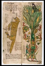 Wilk Fenrir i drzewo świata Yggdrasil, 1680