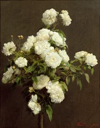 Białe Róże, 1870
