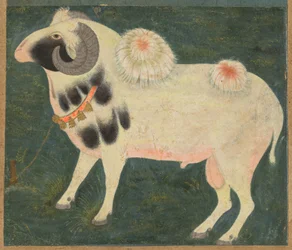 Królewski baran ze złotym łańcuchem, ok. 1585 (nieprzezroczysta akwarela i złoto na papierze)
