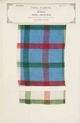 Próbka muślinu w kolorową kratkę z Arnee w Madrasie, z The Collection of the Textile Manufacturers of India, autorstwa Johna Forbesa Watsona, opublikowana w 1866 r.