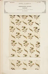 Próbka haftowanego muślinu z Madrasu, z The Collection of the Textile Manufacturers of India, autorstwa Johna Forbesa Watsona, opublikowana w 1866 r.