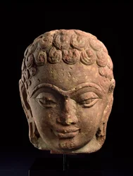 Głowa Jain Tirthankara, region Mathura, okres Kushan, III-IV wne (piaskowiec)