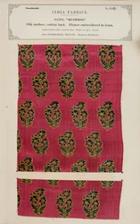 Próbka satyny grzybowej z Hyderabadu w Dekanie, z The Collection of the Textile Manufacturers of India, Johna Forbesa Watsona, opublikowana w 1866 r.