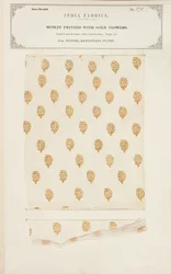 Próbka muślinu wydrukowana złotymi kwiatami z Jeypore w stanach Rajpootana, z The Collection of the Textile Manufacturers of India, Johna Forbesa Watsona, opublikowana w 1866 roku
